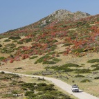 asinara4x4_2