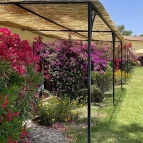 Patio-Camere-Superior-Relax-4