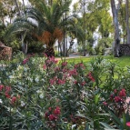 gallery_cottage_03-min