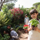 Vegetable Garden