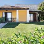 Patio and Garden - general