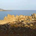 Sea (9)