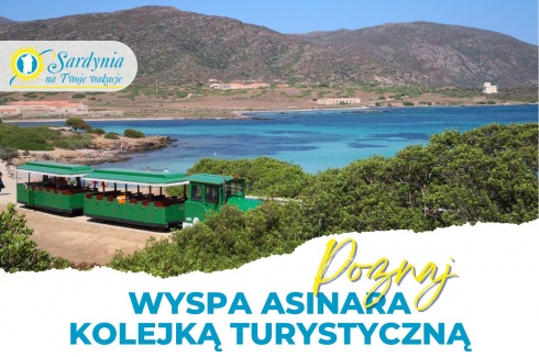 PL ASINARA TRENINO  -  SITO WEB