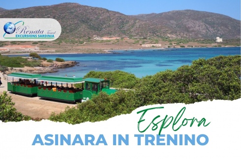 ASINARA TRENINO  -  SITO WEB