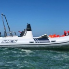 8m, Suzuki 300 cv