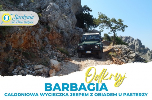PL BARBAGIA -  SITO WEB
