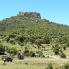 DSCN9928